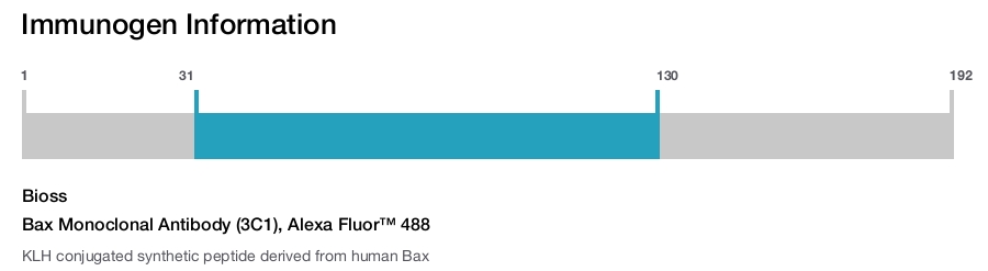 Bax Monoclonal Antibody (3C1), Alexa Fluor™ 488
