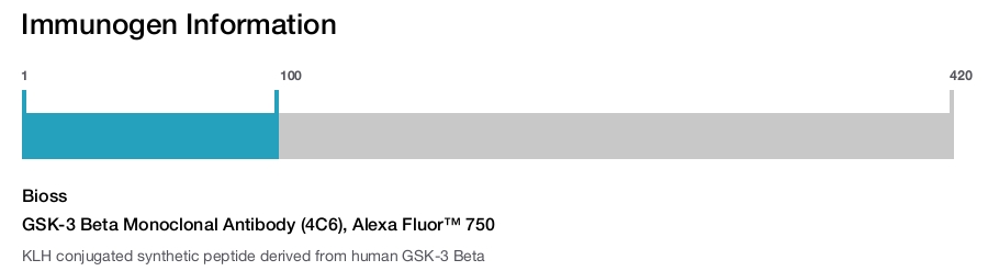 GSK-3 Beta Monoclonal Antibody (4C6), Alexa Fluor™ 750