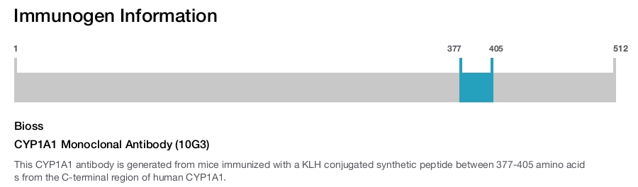 CYP1A1 Monoclonal Antibody (10G3)