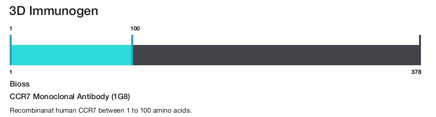 CCR7 Monoclonal Antibody (1G8)