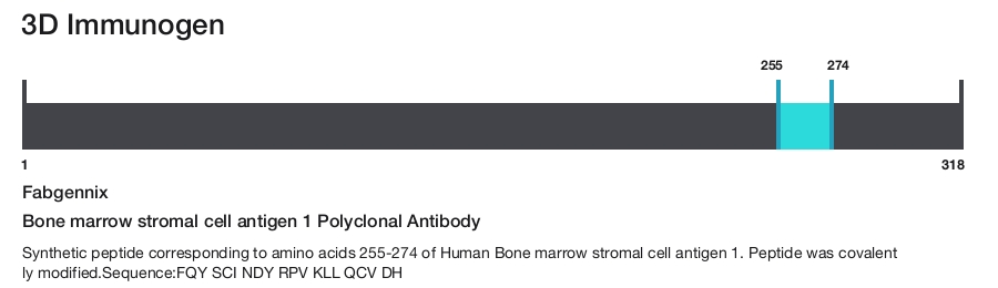 Bone marrow stromal cell antigen 1 Polyclonal Antibody