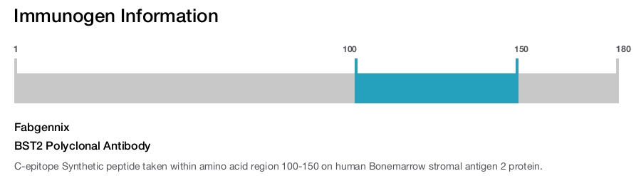BST2 Polyclonal Antibody