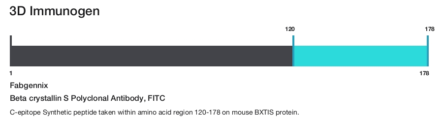Beta crystallin S Polyclonal Antibody, FITC
