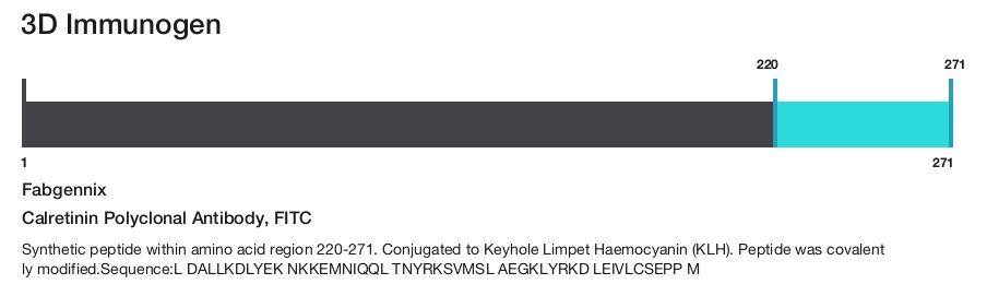 Calretinin Polyclonal Antibody, FITC