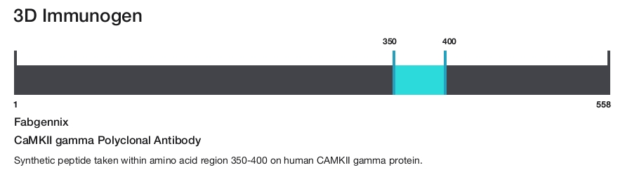 CaMKII gamma Polyclonal Antibody