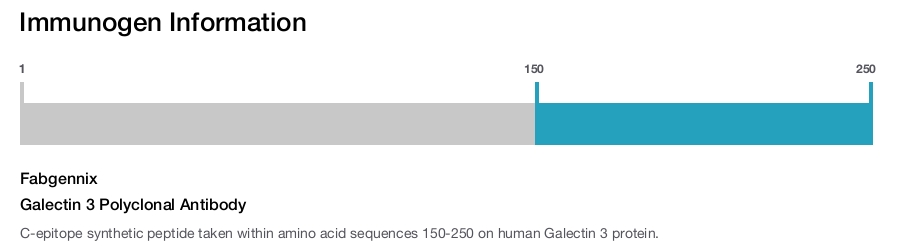 Galectin 3 Polyclonal Antibody