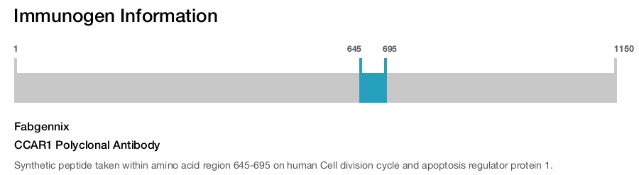 CCAR1 Polyclonal Antibody
