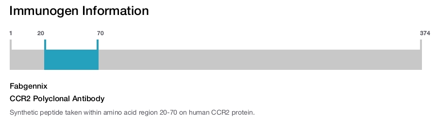 CCR2 Polyclonal Antibody