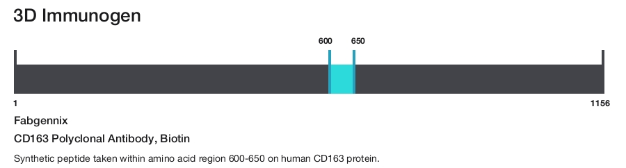 CD163 Polyclonal Antibody, Biotin