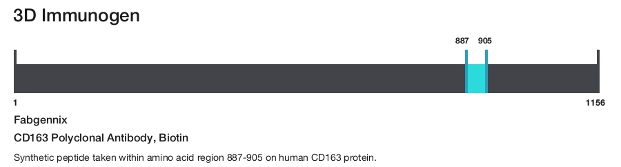 CD163 Polyclonal Antibody, Biotin