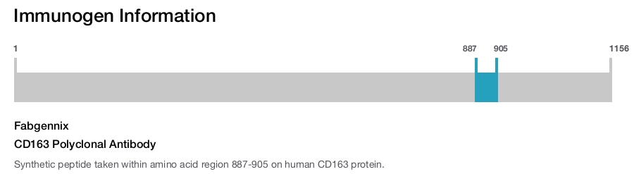 CD163 Polyclonal Antibody