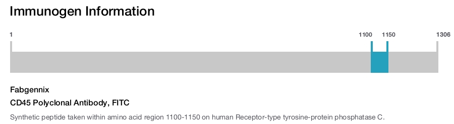 CD45 Polyclonal Antibody, FITC