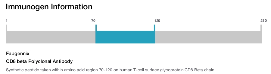 CD8 beta Polyclonal Antibody