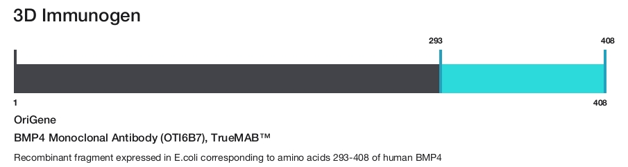 BMP4 Monoclonal Antibody (OTI6B7), TrueMAB&trade;