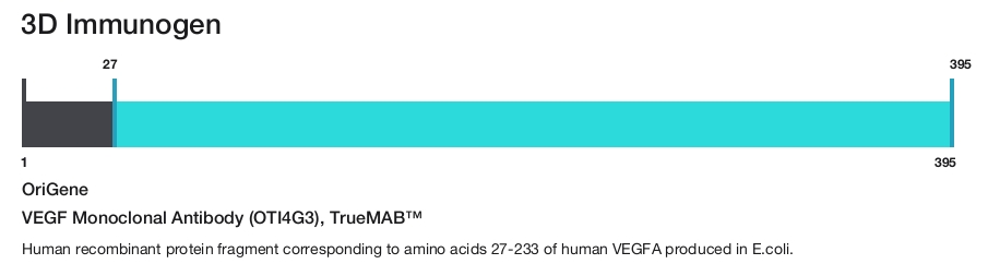 VEGF Monoclonal Antibody (OTI4G3), TrueMAB&trade;