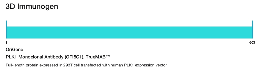 PLK1 Monoclonal Antibody (OTI5C1), TrueMAB&trade;