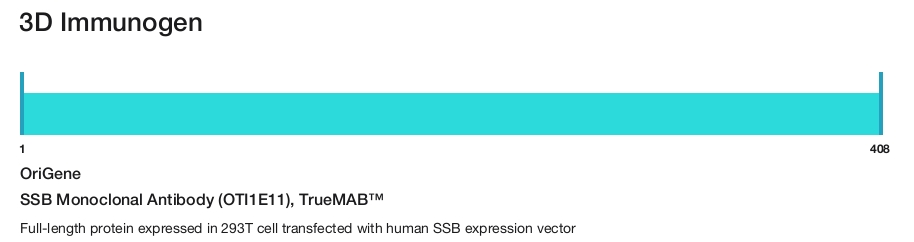 SSB Monoclonal Antibody (OTI1E11), TrueMAB&trade;