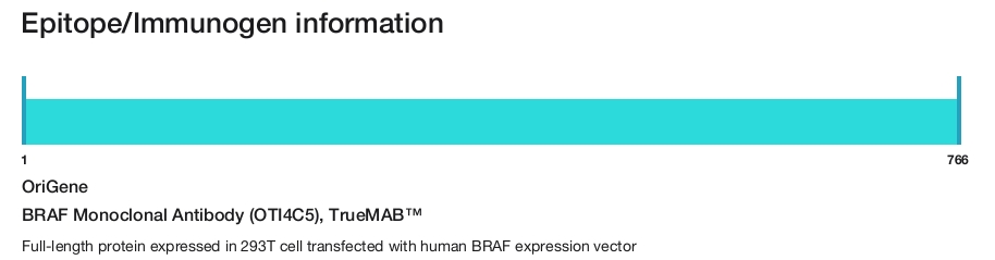 BRAF Monoclonal Antibody (OTI4C5), TrueMAB&trade;
