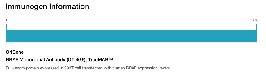 BRAF Monoclonal Antibody (OTI4G6), TrueMAB&trade;