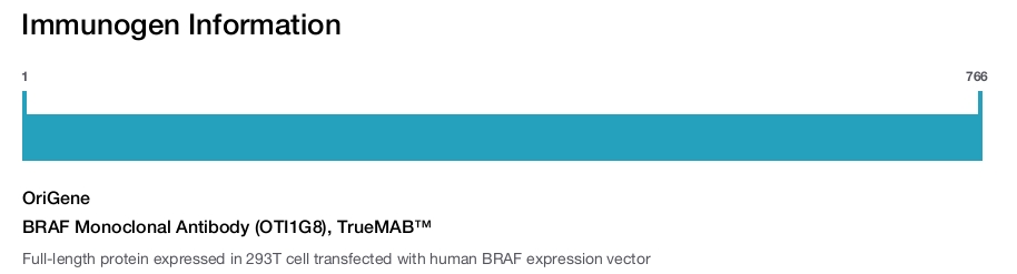 BRAF Monoclonal Antibody (OTI1G8), TrueMAB&trade;