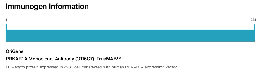 PRKAR1A Monoclonal Antibody (OTI6C7), TrueMAB™