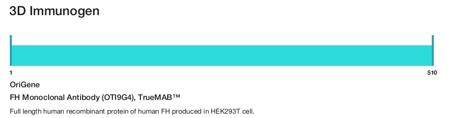 FH Monoclonal Antibody (OTI9G4), TrueMAB&trade;