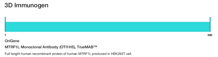 MTRF1L Monoclonal Antibody (OTI1H5), TrueMAB&trade;