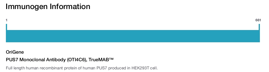 PUS7 Monoclonal Antibody (OTI4C6), TrueMAB™