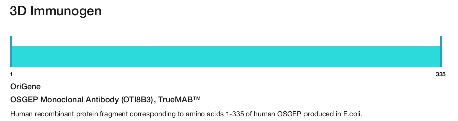 OSGEP Monoclonal Antibody (OTI8B3), TrueMAB&trade;