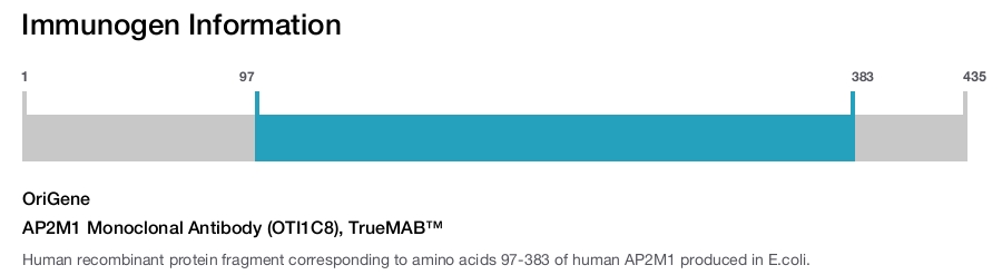 AP2M1 Monoclonal Antibody (OTI1C8), TrueMAB™