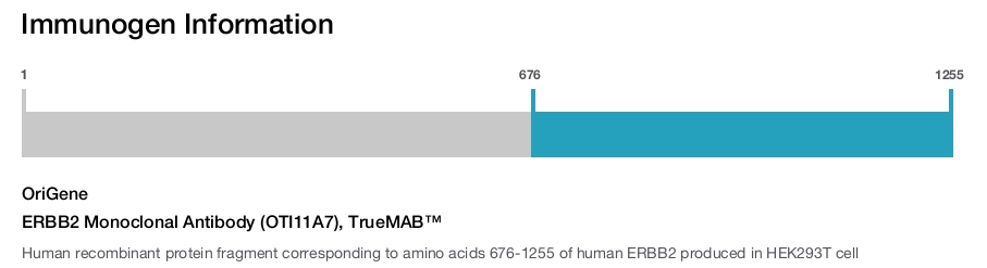 ERBB2 Monoclonal Antibody (OTI11A7), TrueMAB™