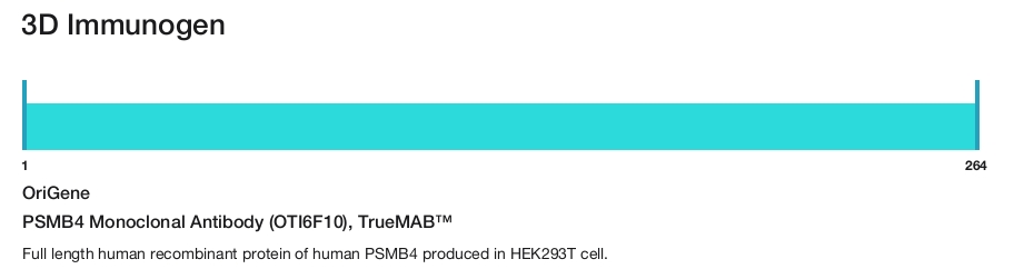 PSMB4 Monoclonal Antibody (OTI6F10), TrueMAB&trade;
