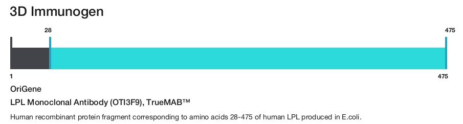 LPL Monoclonal Antibody (OTI3F9), TrueMAB&trade;