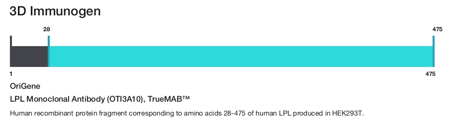 LPL Monoclonal Antibody (OTI3A10), TrueMAB&trade;