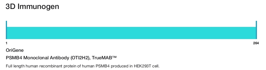 PSMB4 Monoclonal Antibody (OTI2H2), TrueMAB&trade;