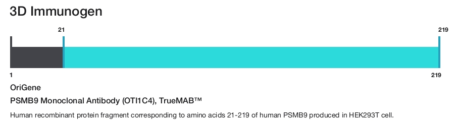 PSMB9 Monoclonal Antibody (OTI1C4), TrueMAB&trade;