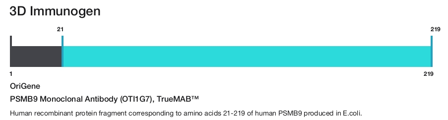 PSMB9 Monoclonal Antibody (OTI1G7), TrueMAB&trade;