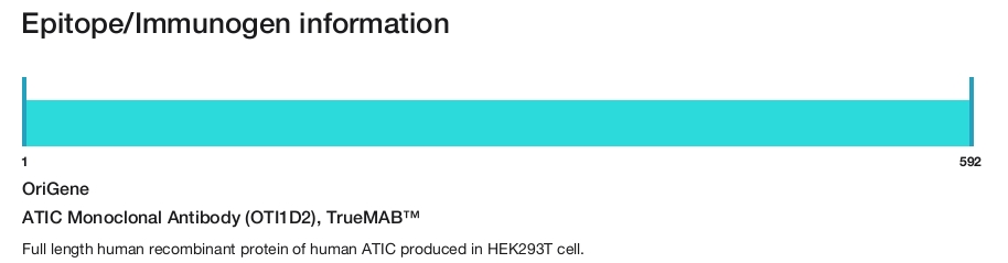 ATIC Monoclonal Antibody (OTI1D2), TrueMAB&trade;