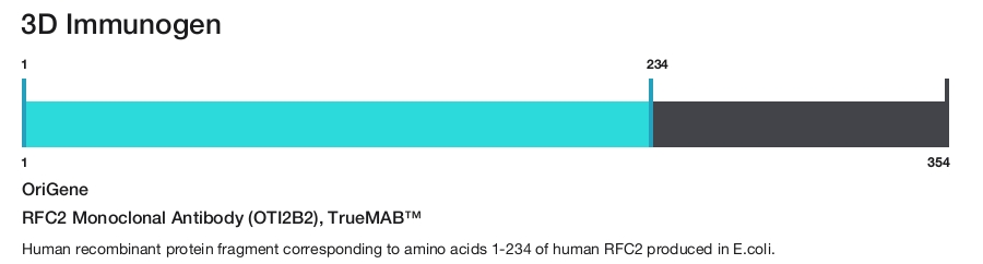 RFC2 Monoclonal Antibody (OTI2B2), TrueMAB&trade;