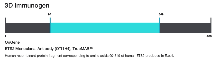 ETS2 Monoclonal Antibody (OTI1H4), TrueMAB&trade;