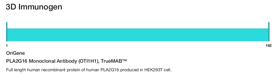 PLA2G16 Monoclonal Antibody (OTI1H1), TrueMAB&trade;