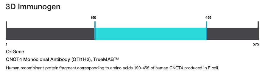 CNOT4 Monoclonal Antibody (OTI1H2), TrueMAB&trade;