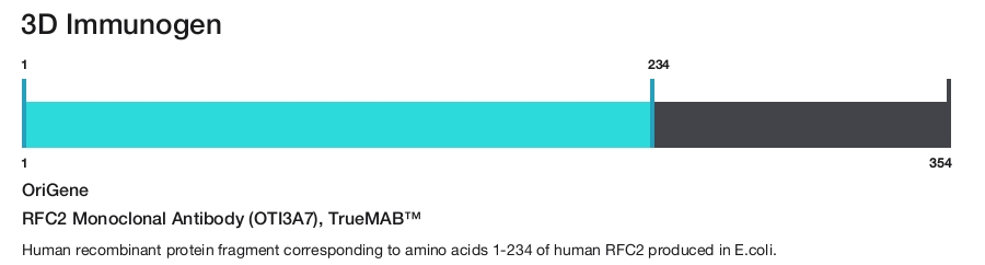 RFC2 Monoclonal Antibody (OTI3A7), TrueMAB&trade;
