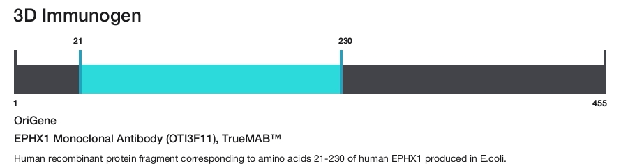 EPHX1 Monoclonal Antibody (OTI3F11), TrueMAB&trade;