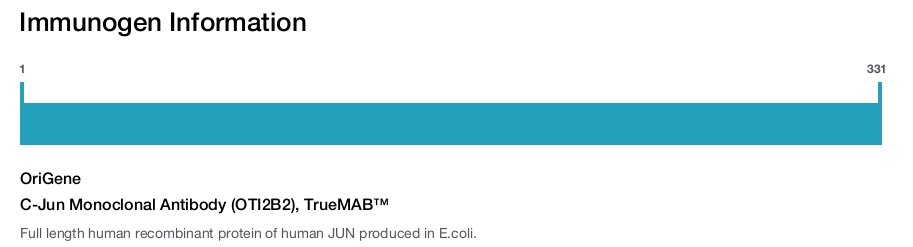 C-Jun Monoclonal Antibody (OTI2B2), TrueMAB™