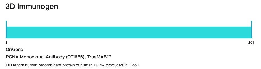 PCNA Monoclonal Antibody (OTI6B6), TrueMAB&trade;