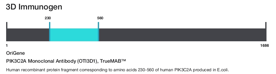 PIK3C2A Monoclonal Antibody (OTI3D1), TrueMAB&trade;