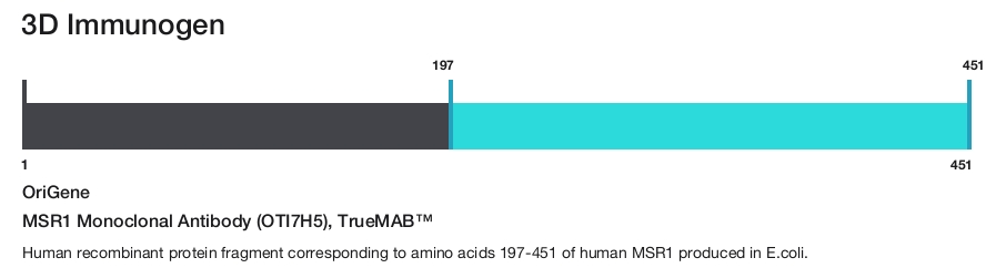MSR1 Monoclonal Antibody (OTI7H5), TrueMAB&trade;