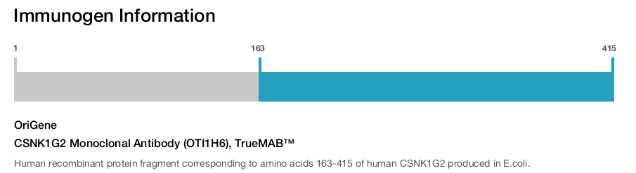 CSNK1G2 Monoclonal Antibody (OTI1H6), TrueMAB™