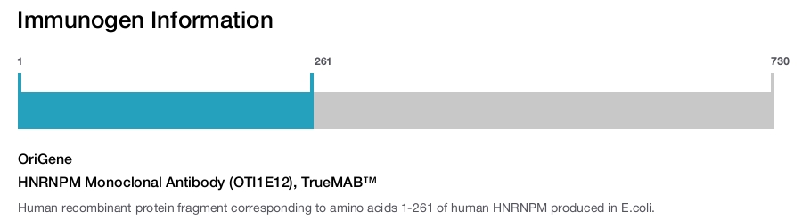 HNRNPM Monoclonal Antibody (OTI1E12), TrueMAB™